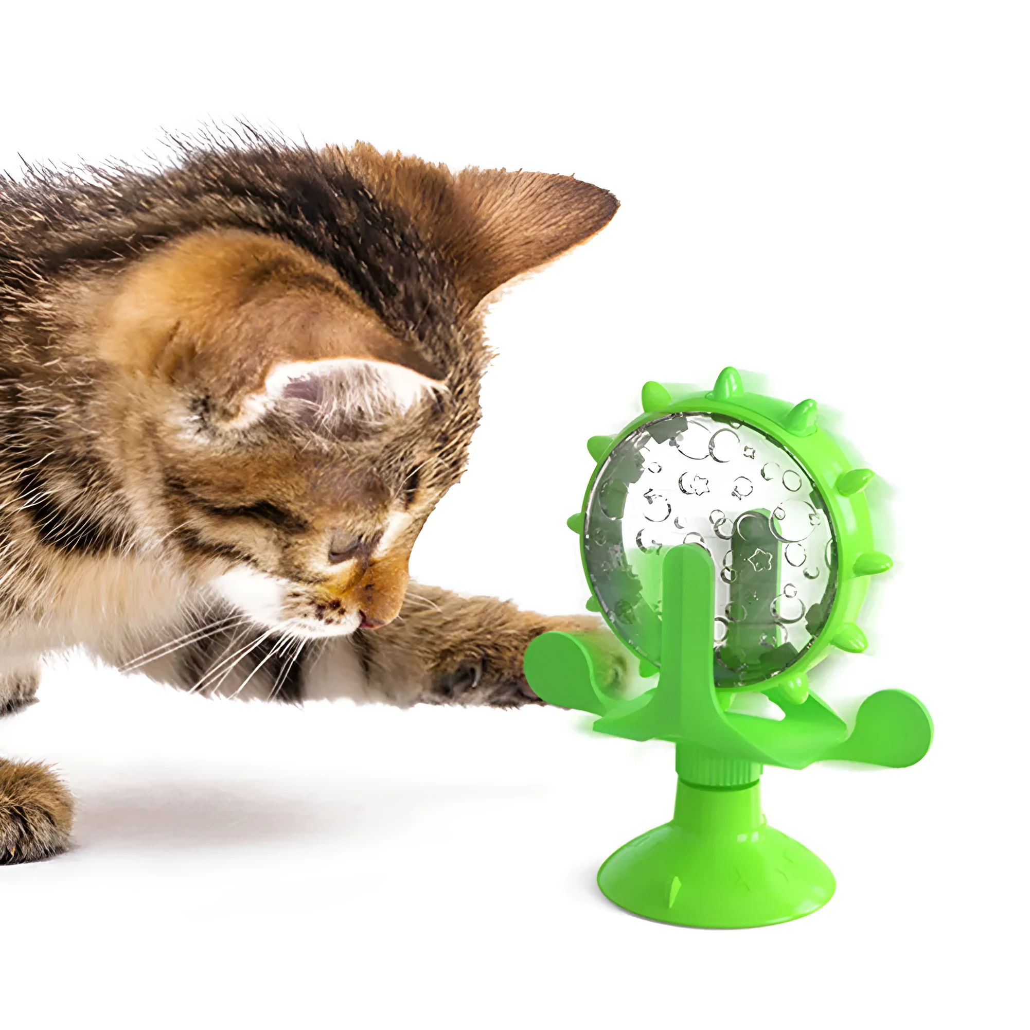 Pet cat toy money-making wheel slow food leaking device in blue with plastic pet food container