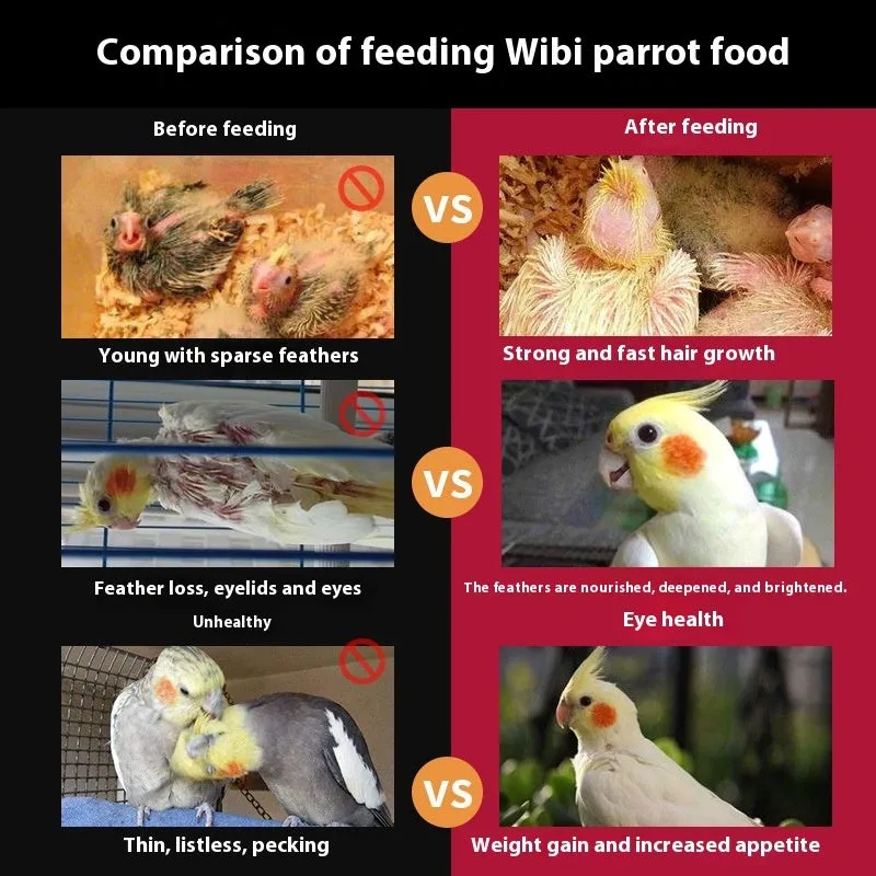 Birds Freddie Wong Mixed Grain With Shell parrot food 500g bag showing seed mix with shells