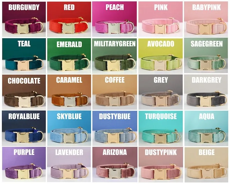 Personalised velvet dog collar and leash set with bow tie in multiple colours and sizes XXS to XL