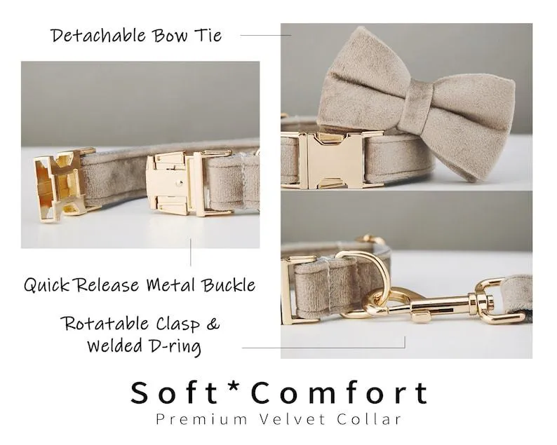 Personalised velvet dog collar and leash set with bow tie in multiple colours and sizes XXS to XL