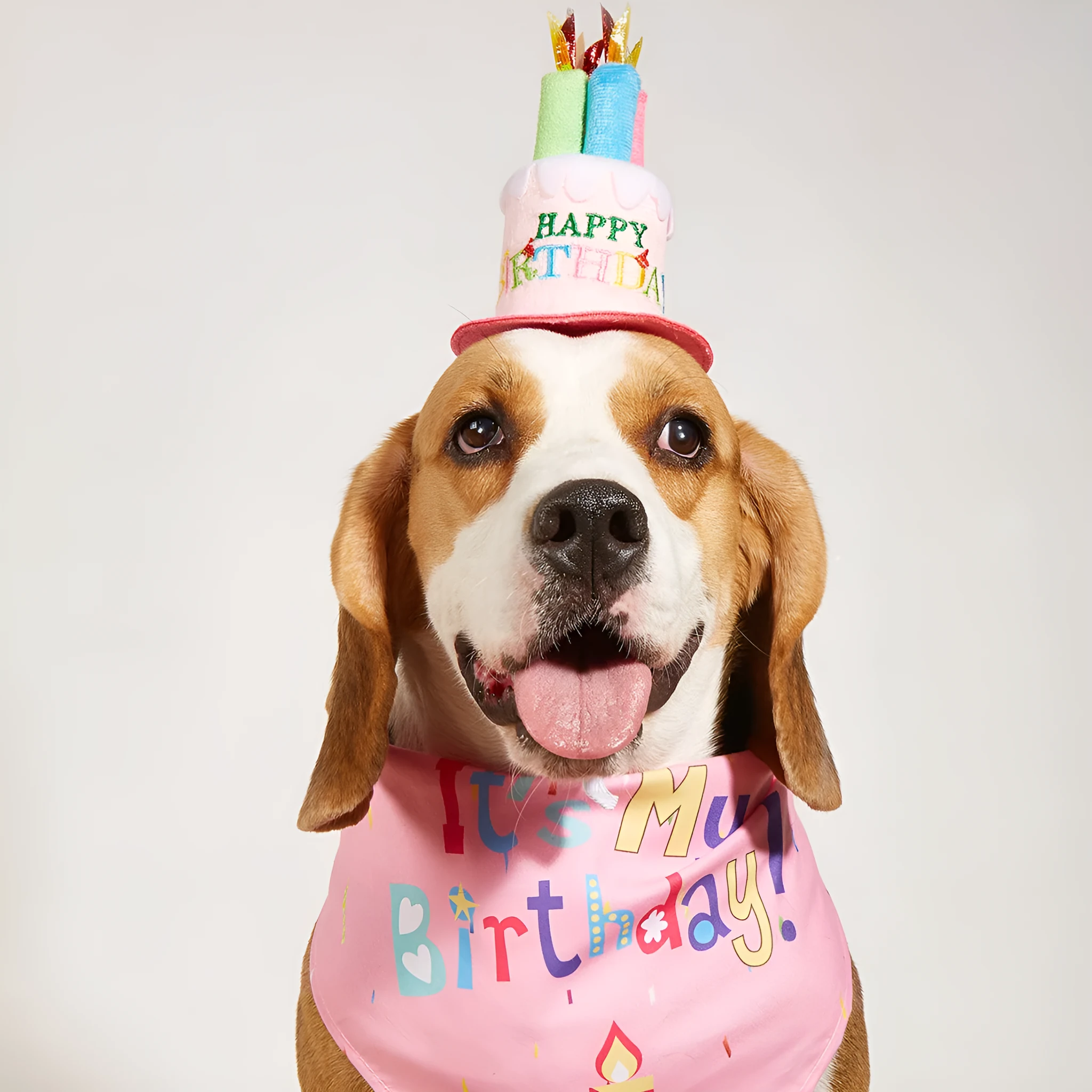 Printed polyester dog birthday hat and drool towel set in blue with creative triangular binder design