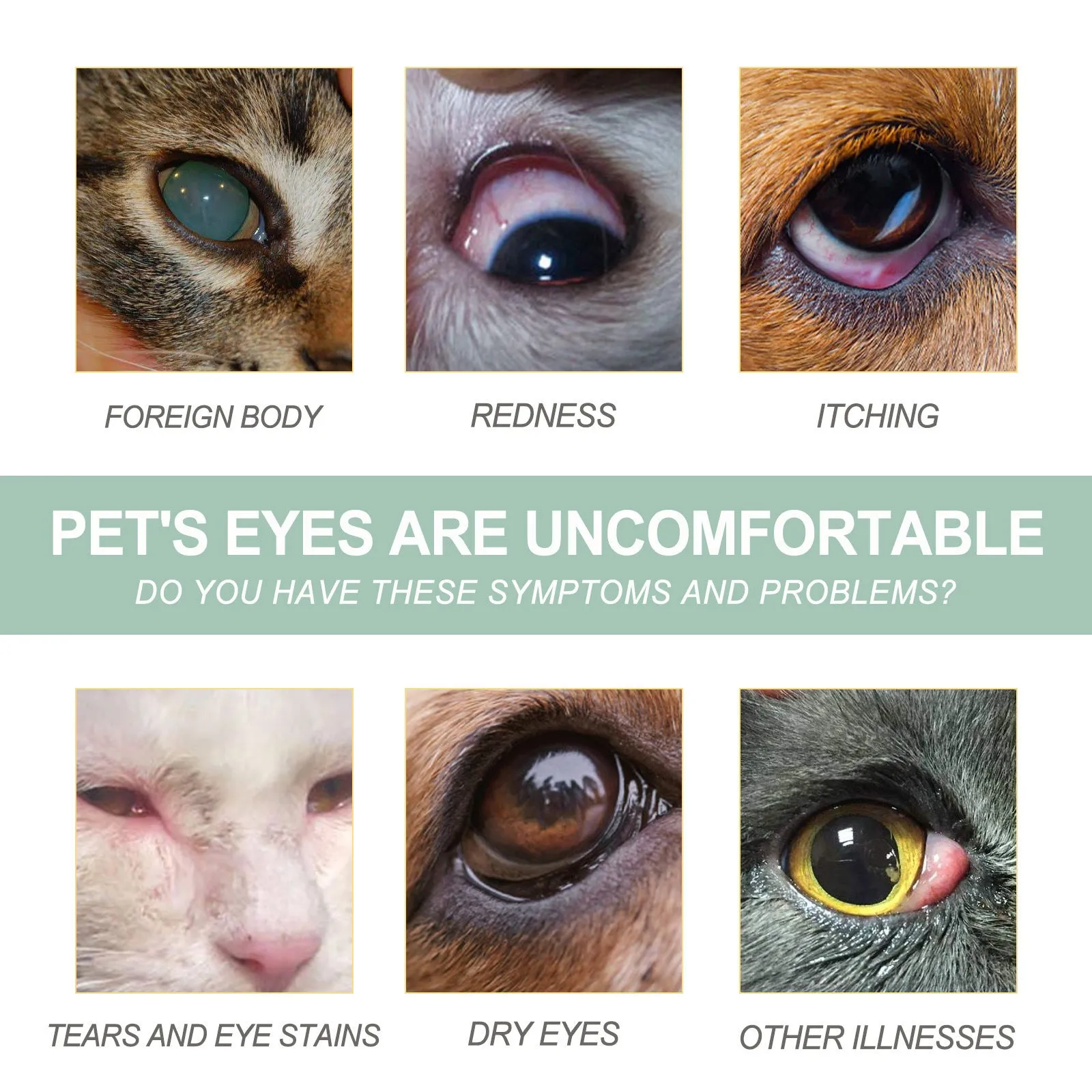 Dogs And Cats Eye Care Eye Drops 100ml bottle with dropper tip for pet eye cleansing
