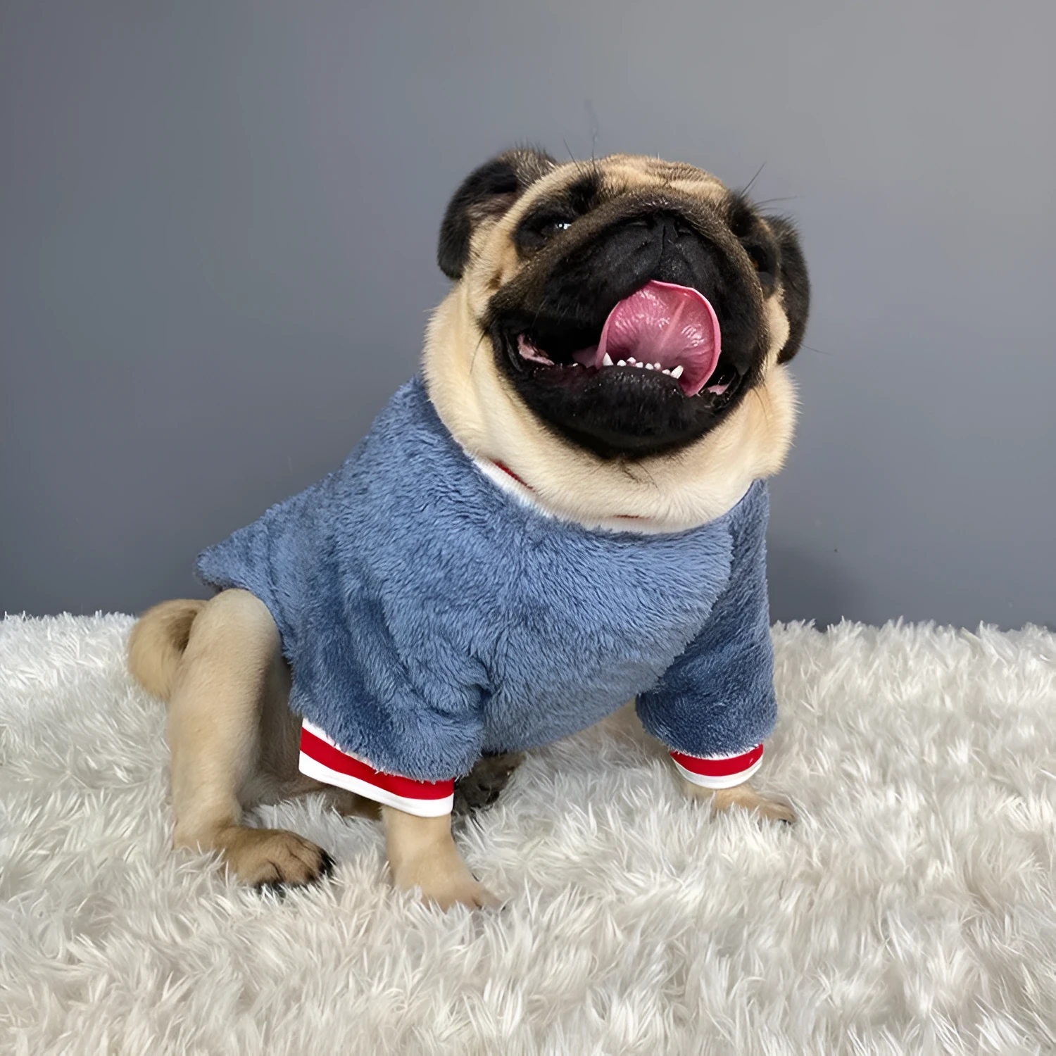 Blue cotton dog sweater for small to large breeds, S to XXL sizes, bust 45 to 65 cm