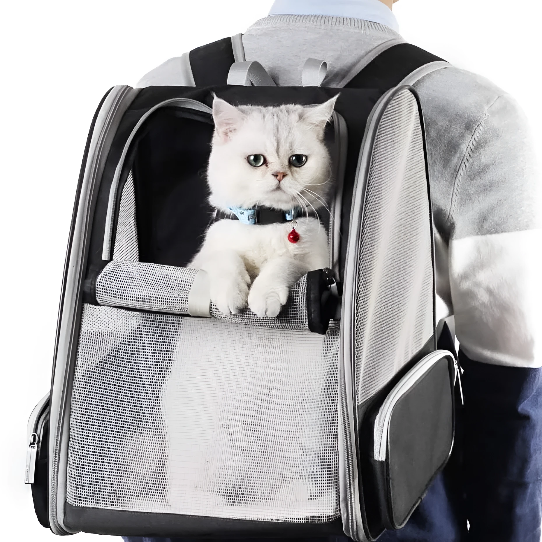 Gray Innovative Traveler bubble backpack pet carrier with PVC mesh windows, side view, for cats and dogs