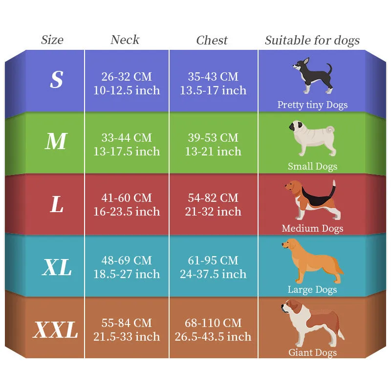 LED dog walking vest with seven-colour optical fibre light and explosion-proof straps on a dog outdoors at night