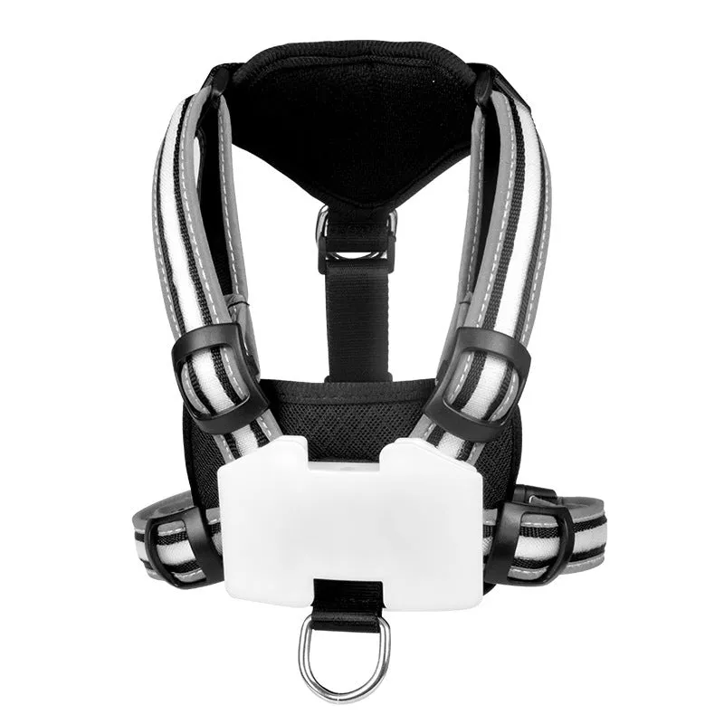 LED dog walking vest with seven-colour optical fibre light and explosion-proof straps on a dog outdoors at night