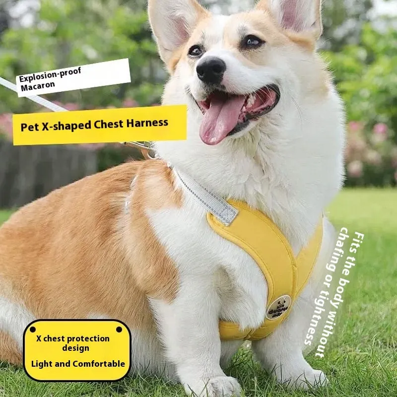 Pink polyester dog vest with an attached hand holding rope laid flat