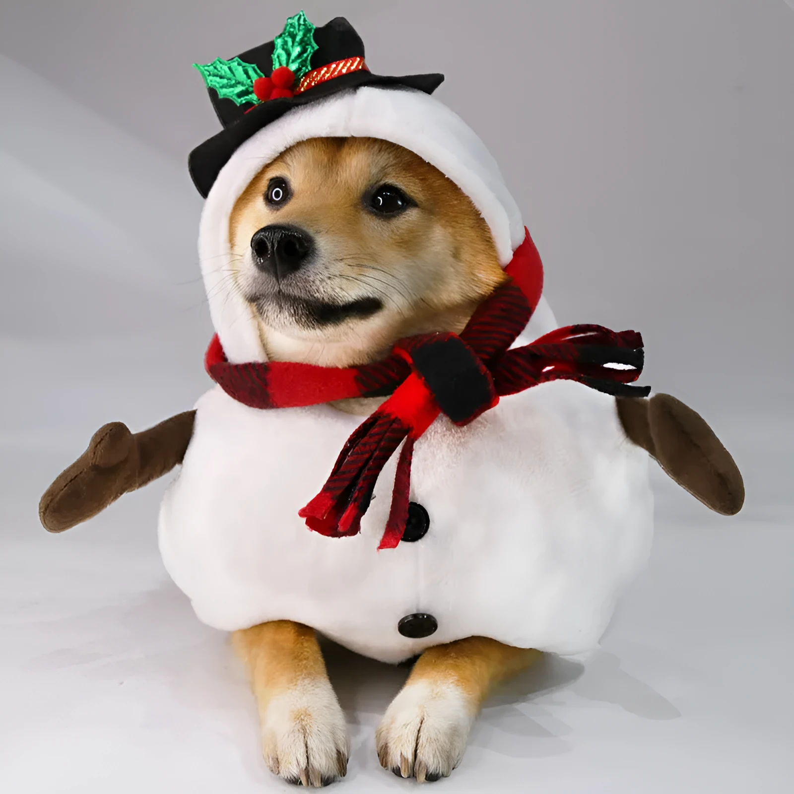 Christmas snowman costume outfit for dogs and cats in festive design with polyester fabric