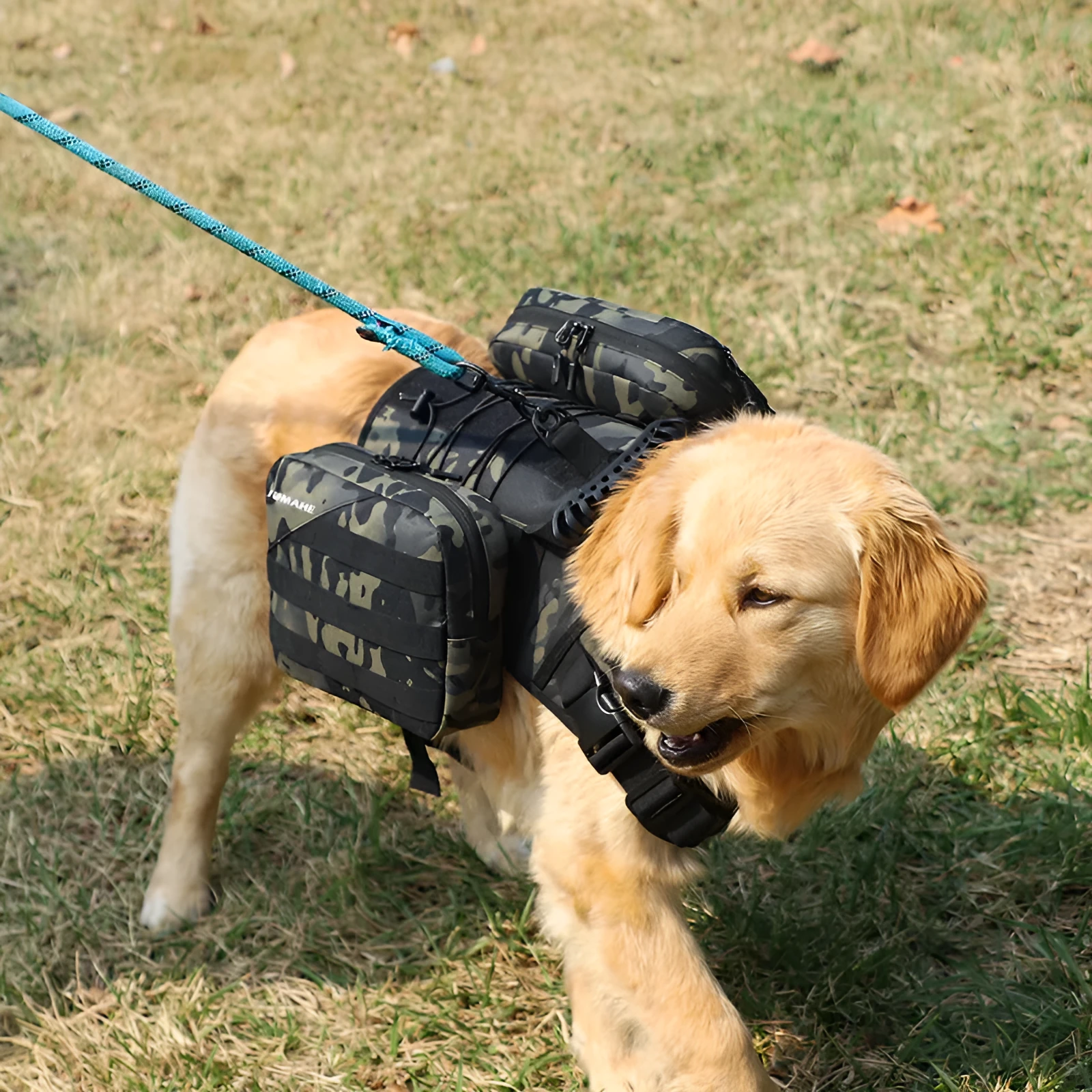 Dog walking snack pack in Oxford cloth with a solid colour finish, shown as a pet treat pouch