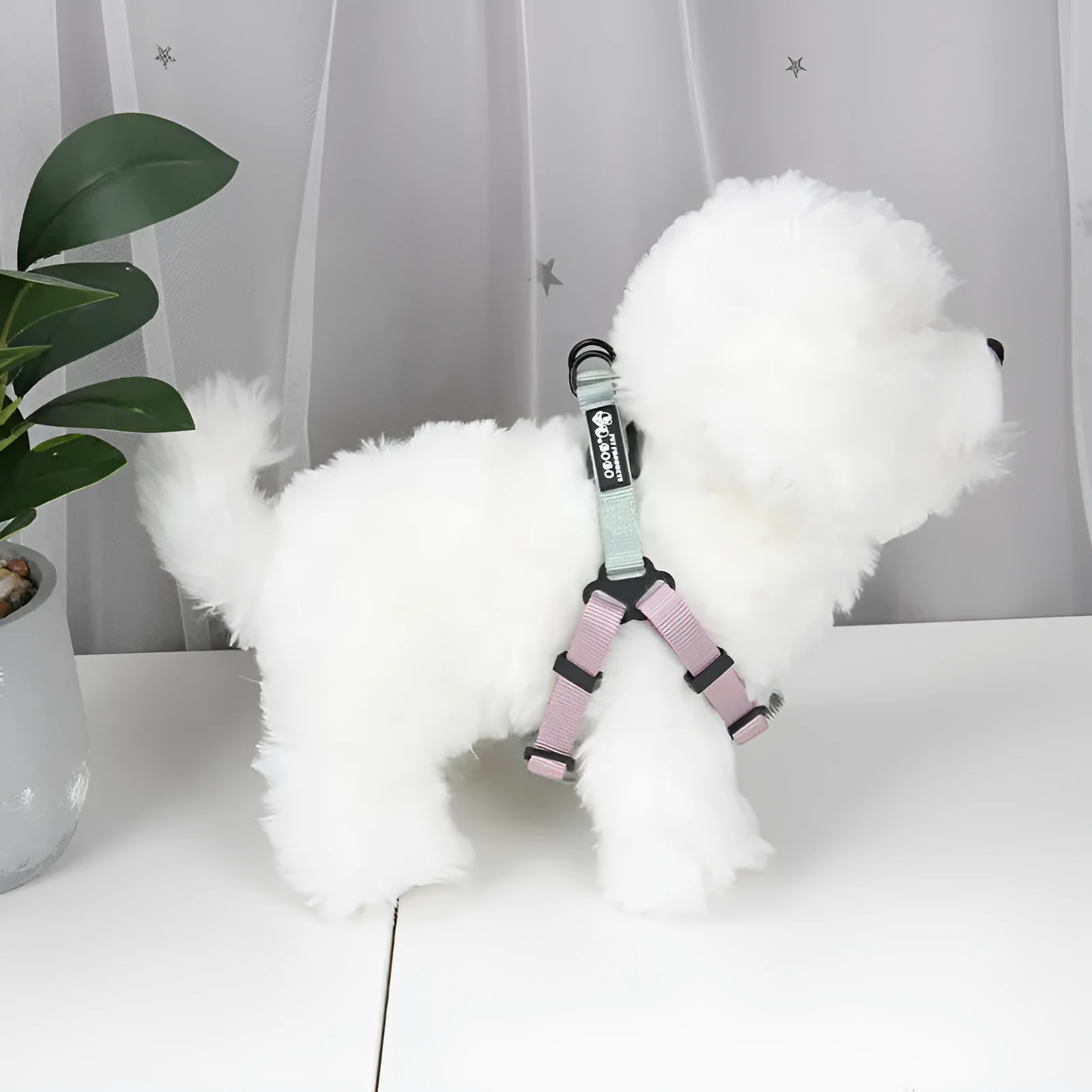 Nylon adjustable dog breast strap with hand holding rope in blue pink colour on white background