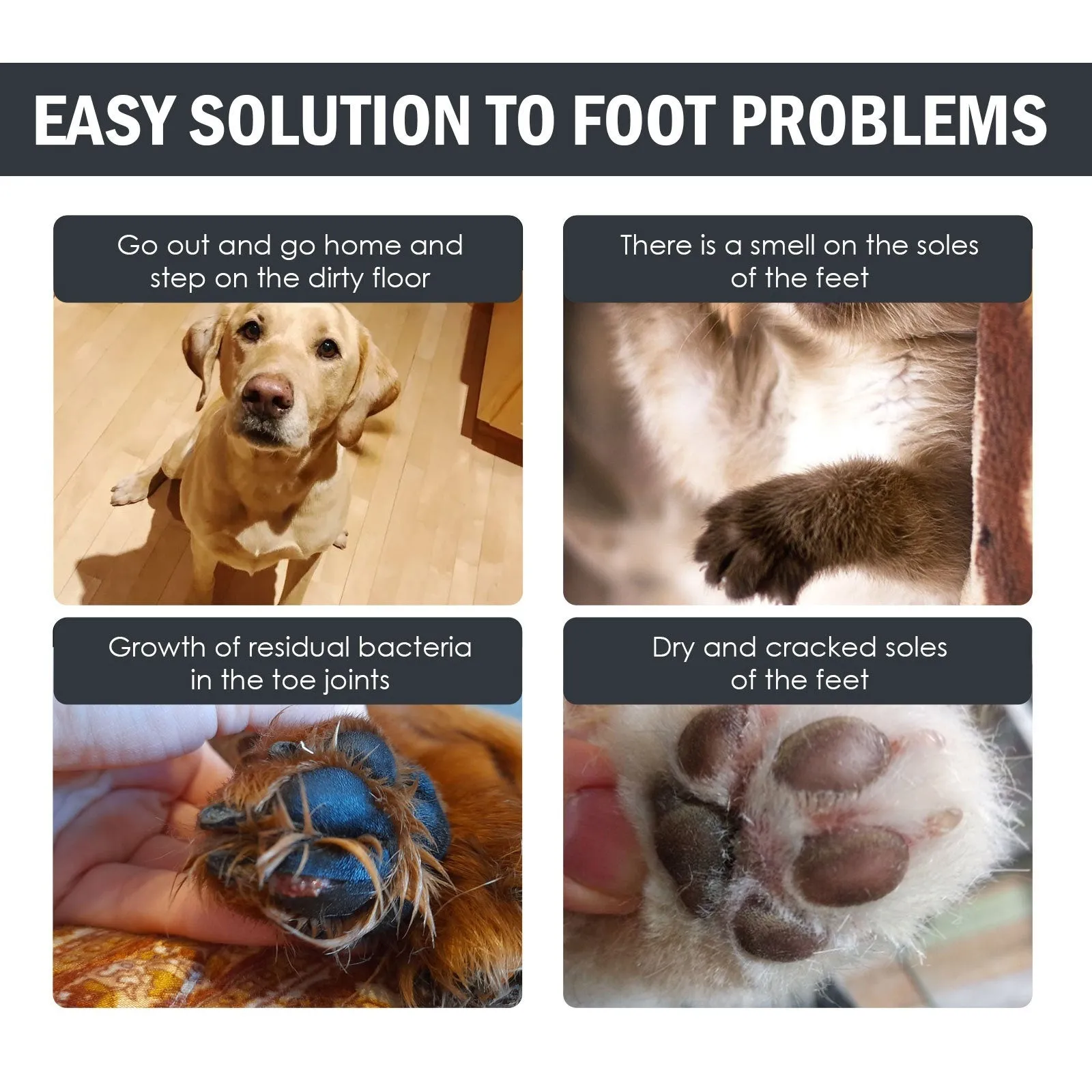 Dog foot mat care solution set with 100ml sole care solution, claw paste, washing cup, and towels on a tabletop