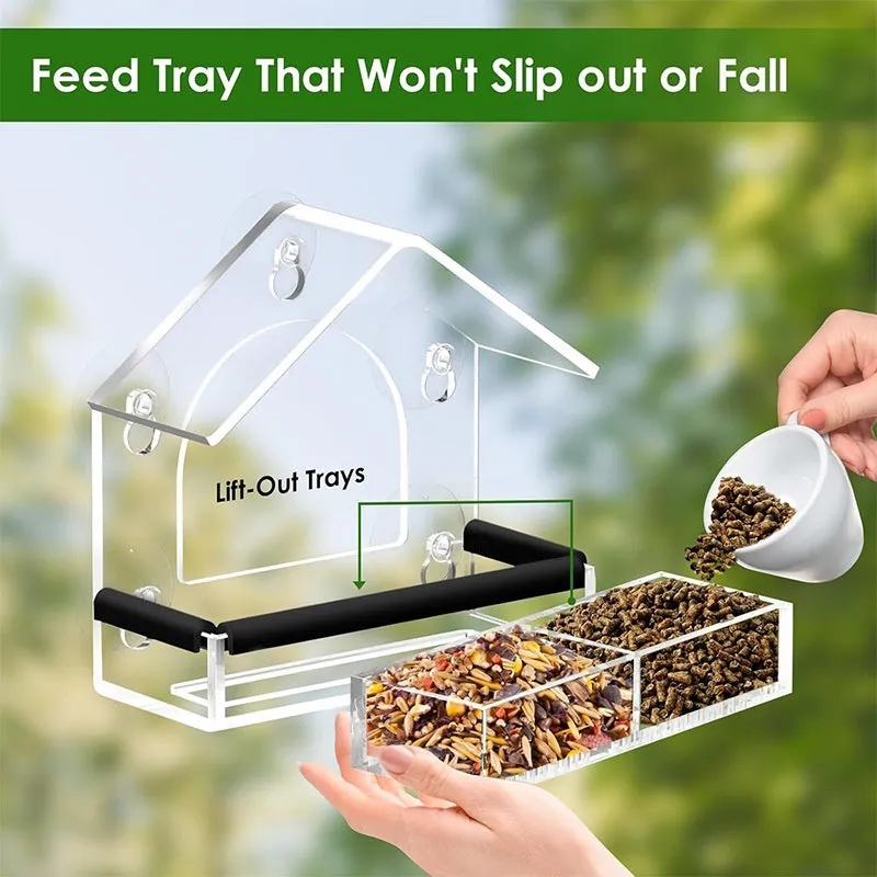 Transparent acrylic wall-mounted bird feeder with single feeding port and clear view of interior