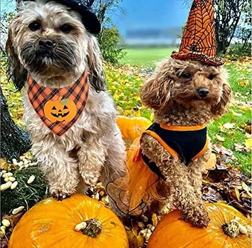 Orange plaid Halloween dog bandana with pumpkin and skeleton felt appliques