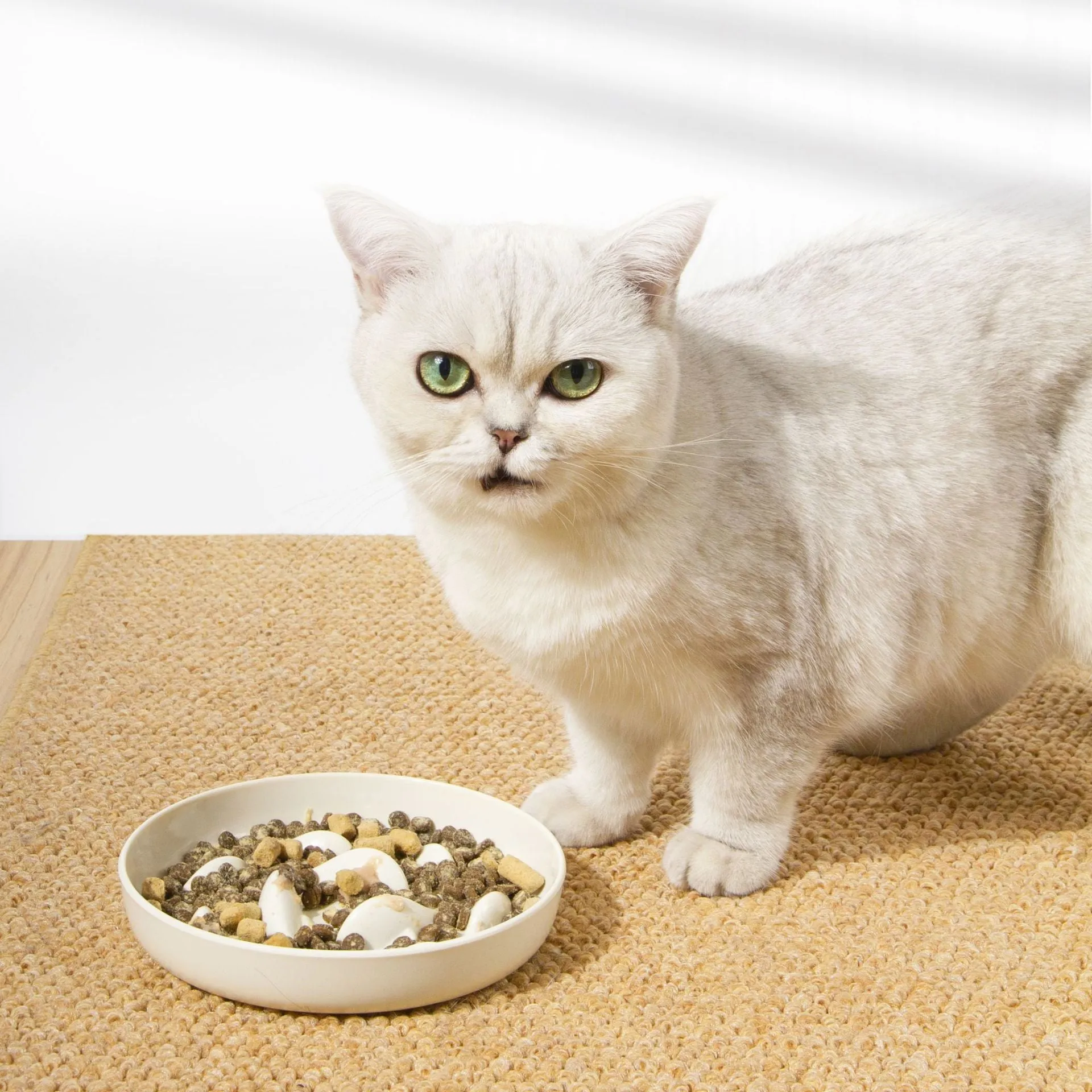 Melamine cat slow feeding bowl with goldfish pattern in white large size
