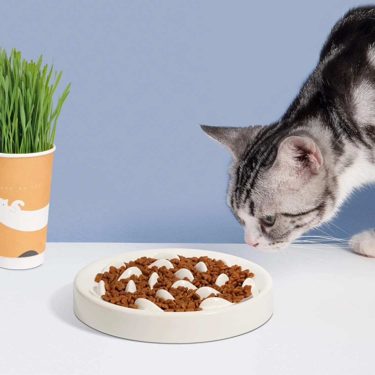 Melamine cat slow feeding bowl with goldfish pattern in white large size