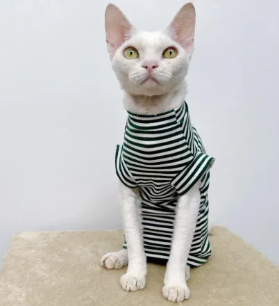 Winter stretch fleece vest for pets in green stripes on a small dog