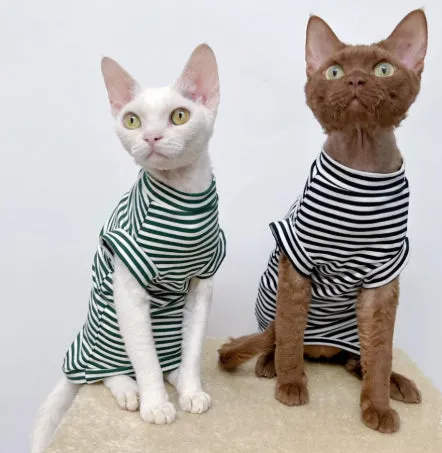 Winter stretch fleece vest for pets in green stripes on a small dog