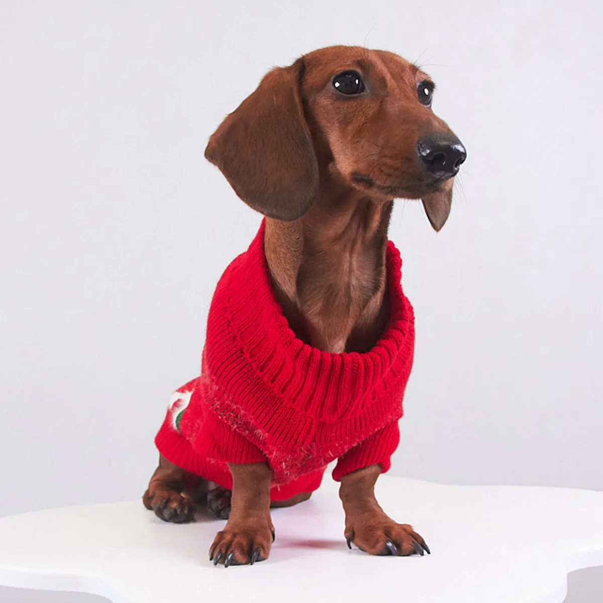 Pet Christmas mink sweater in green on a dog, casual style, soft lining for warmth