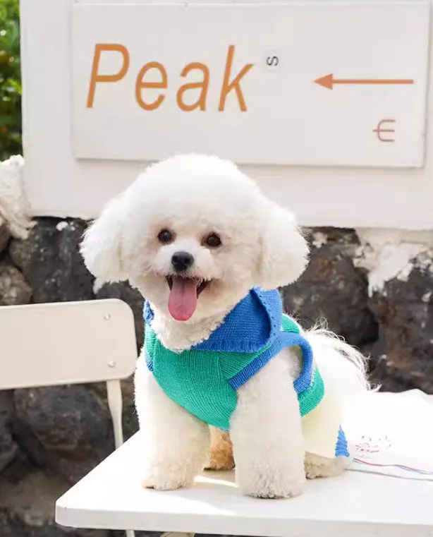 Blue striped hooded knitted pet sweater for dogs and cats autumn winter wear