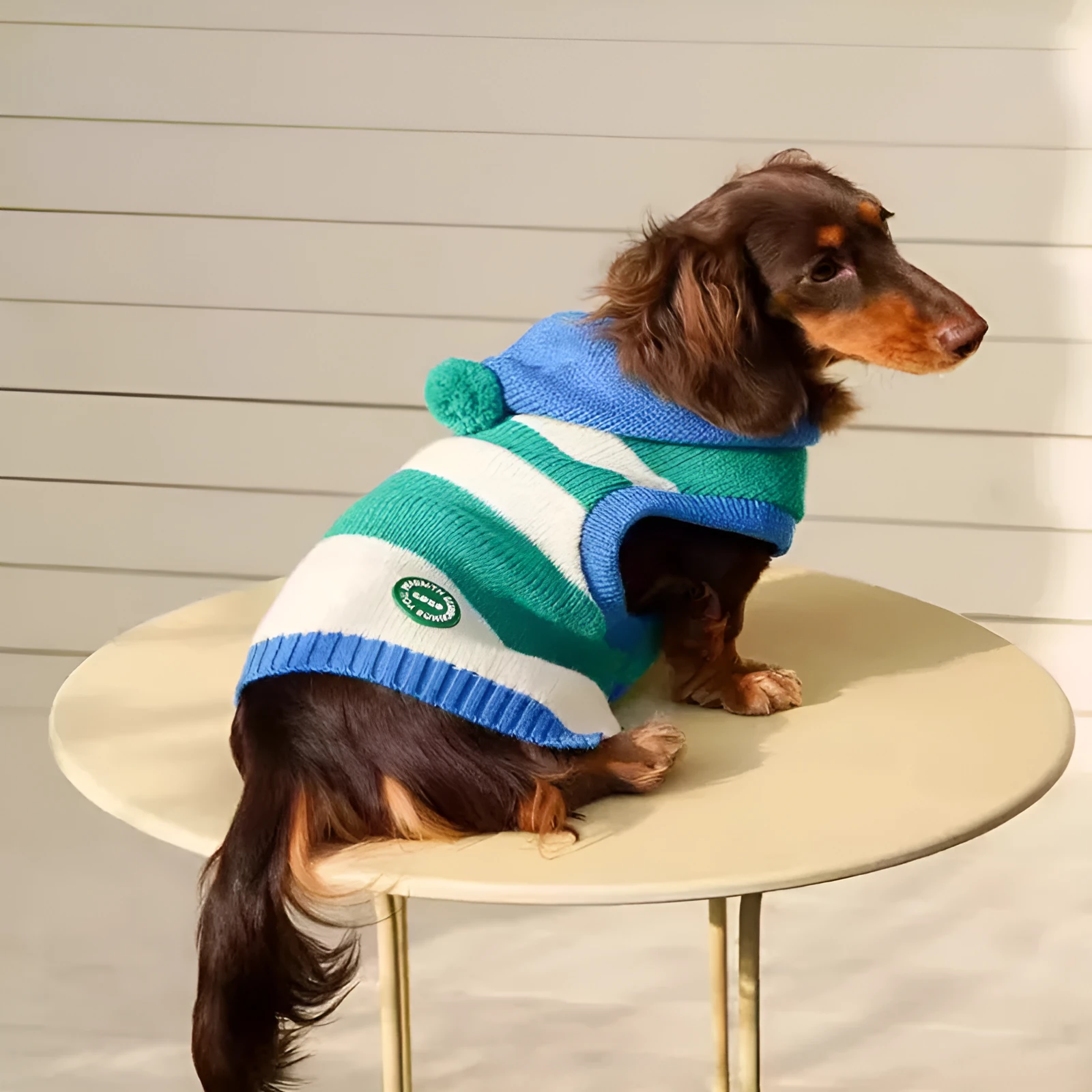 Blue striped hooded knitted pet sweater for dogs and cats autumn winter wear