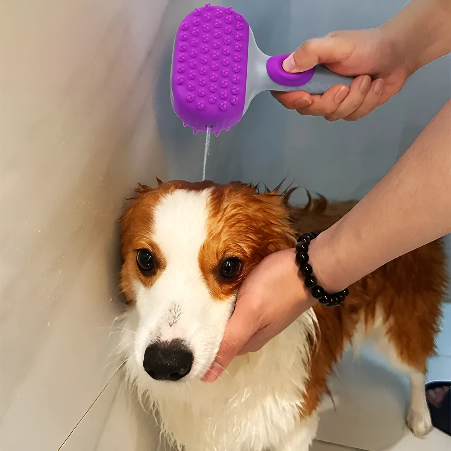 Silicone dog bath brush with lotion dispenser in blue, used for hair cleaning and massage during pet bathing
