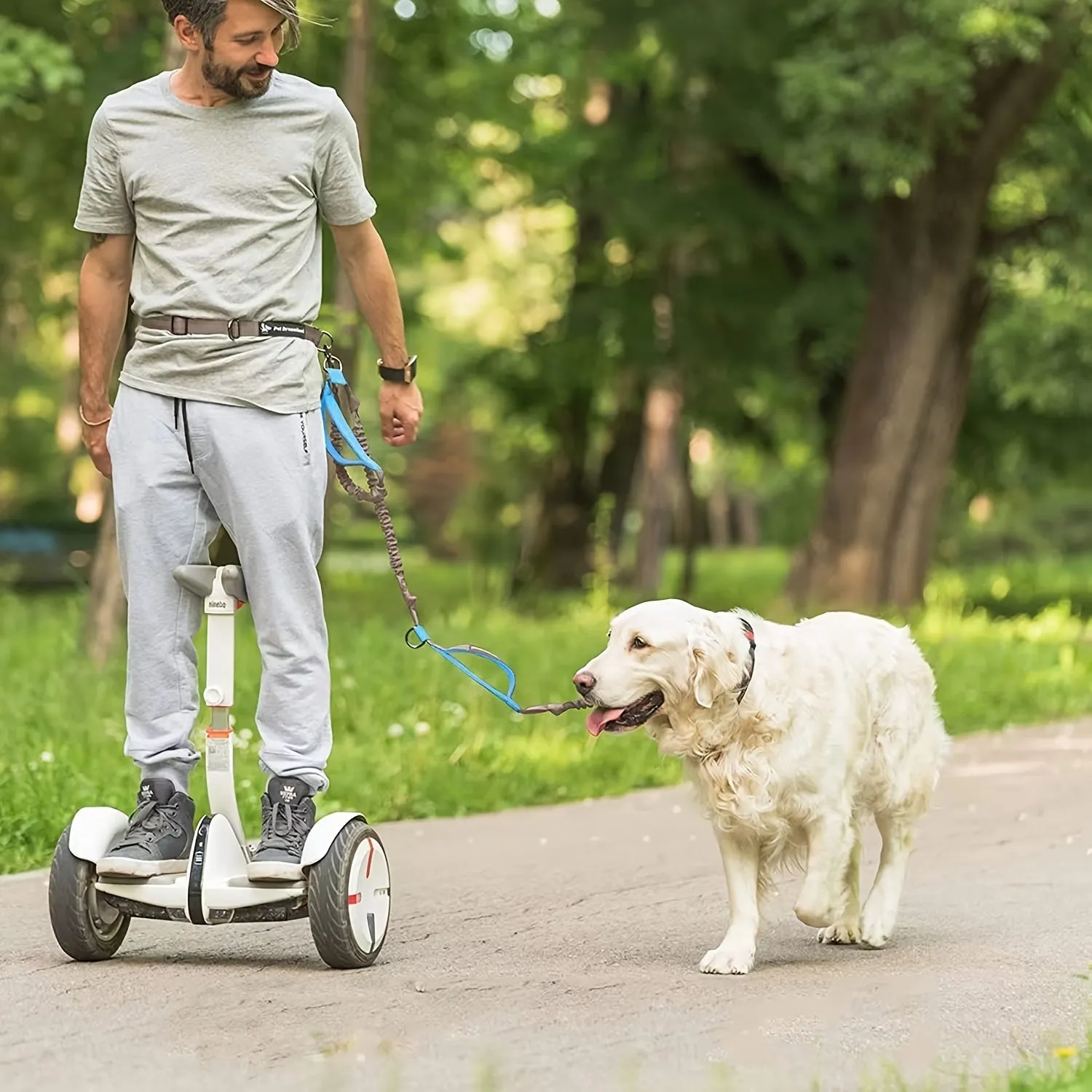 Hands-free dog leash with adjustable waist belt worn by person running with dog