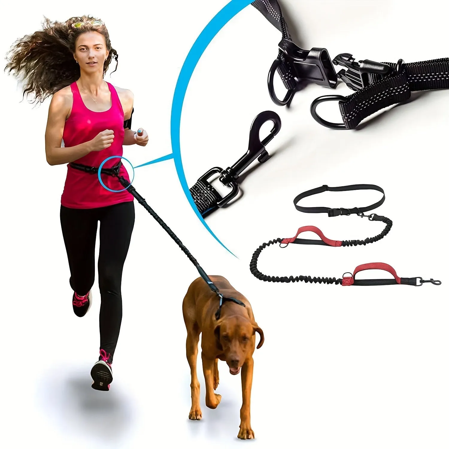 Hands-free dog leash with adjustable waist belt worn by person running with dog