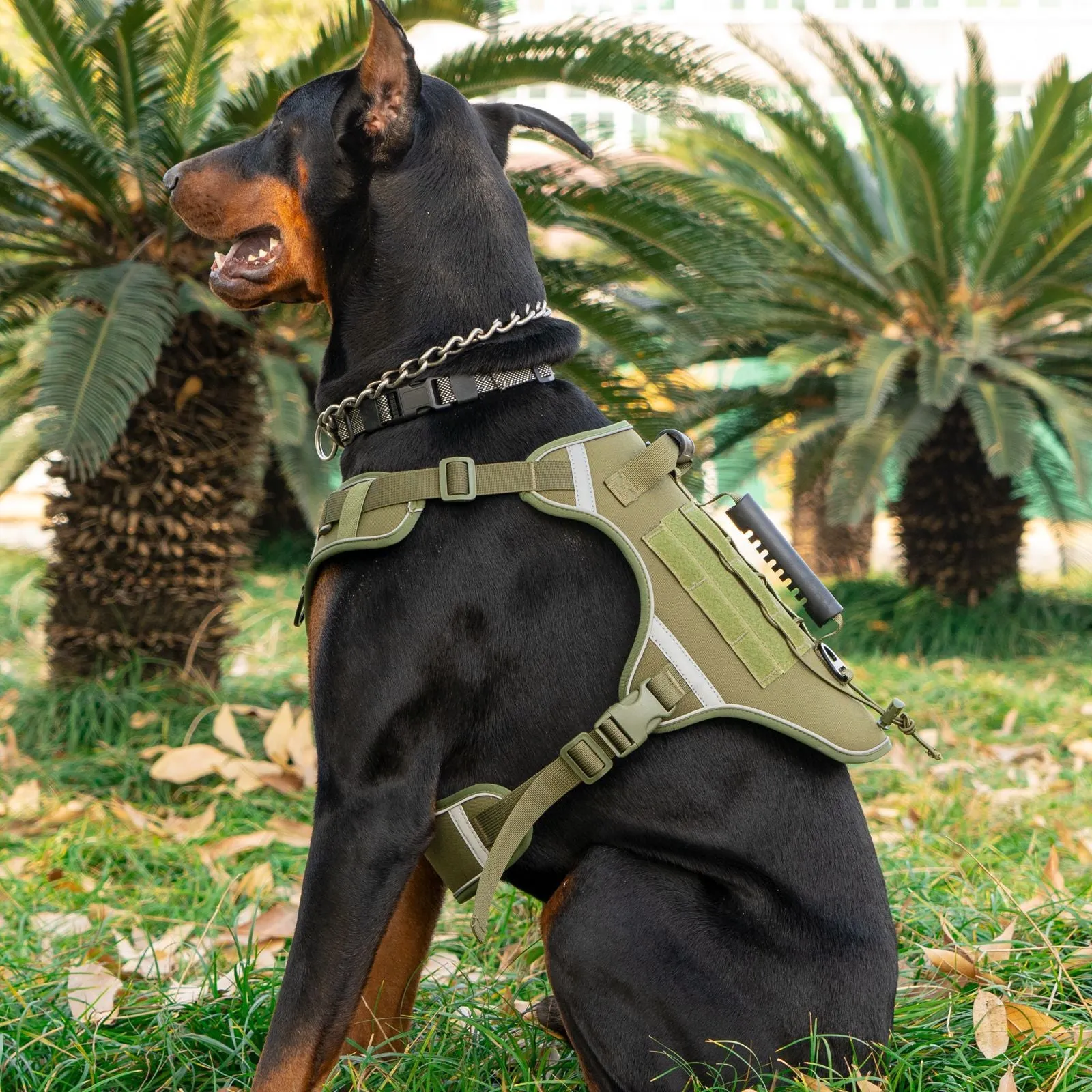 Monochrome tactical dog harness with a back handle and chest strap on a dog.
