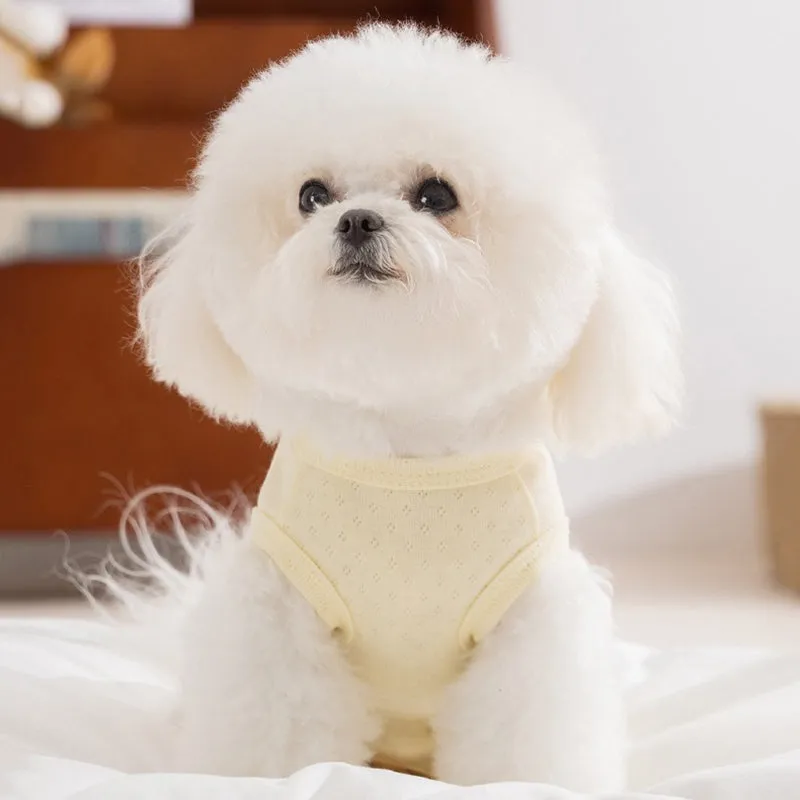Soft yellow mesh pet shirt with cartoon cat patch and button closure on a small dog or cat