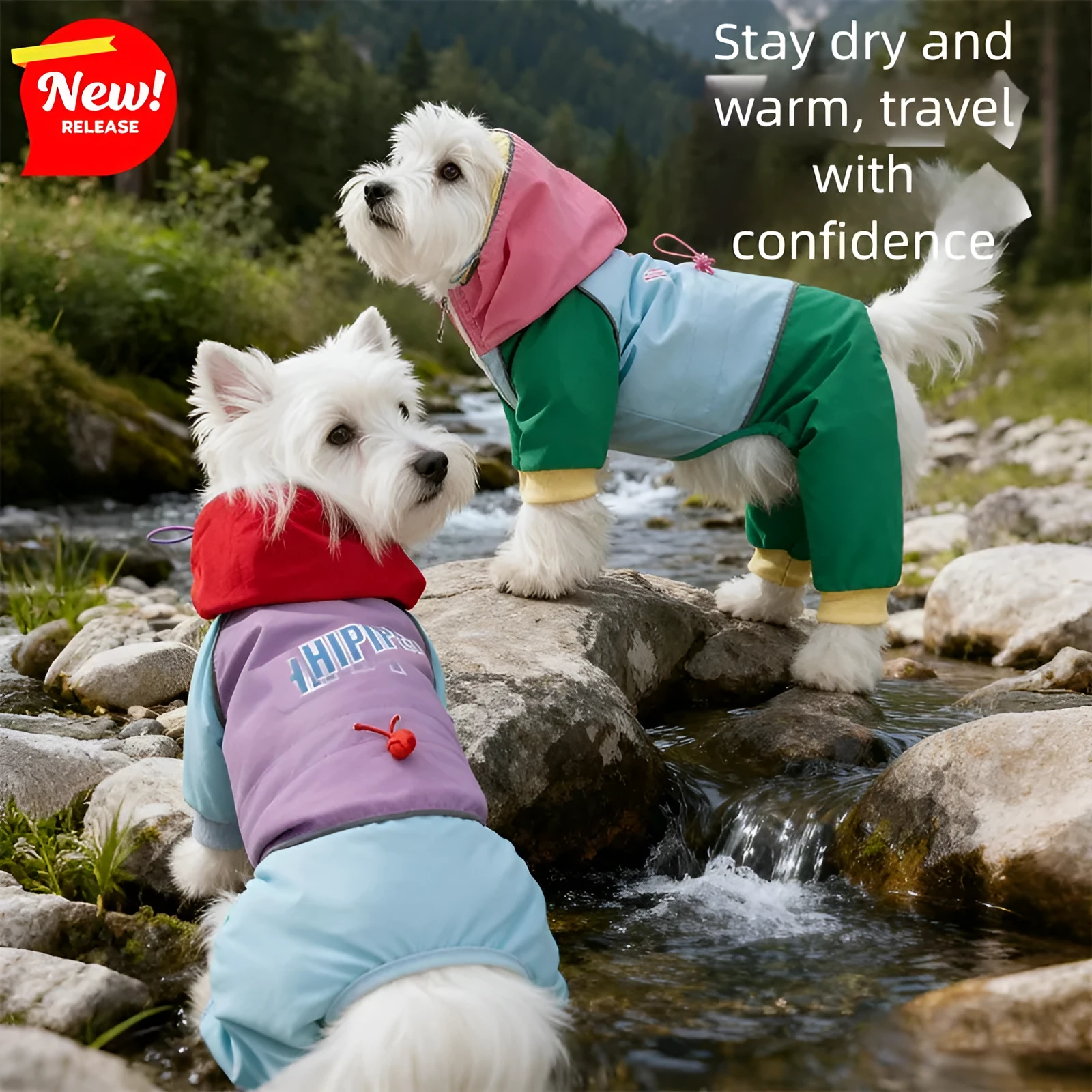 Waterproof 4-leg dog jumpsuit with hood in blue on a dog, reflective details visible
