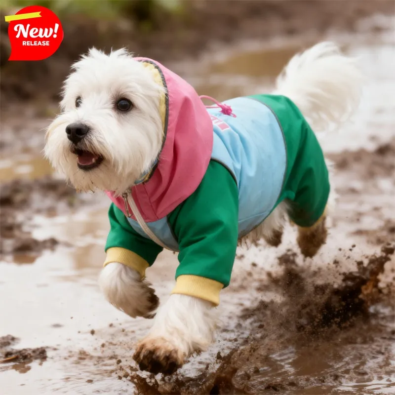 Waterproof 4-leg dog jumpsuit with hood in blue on a dog, reflective details visible