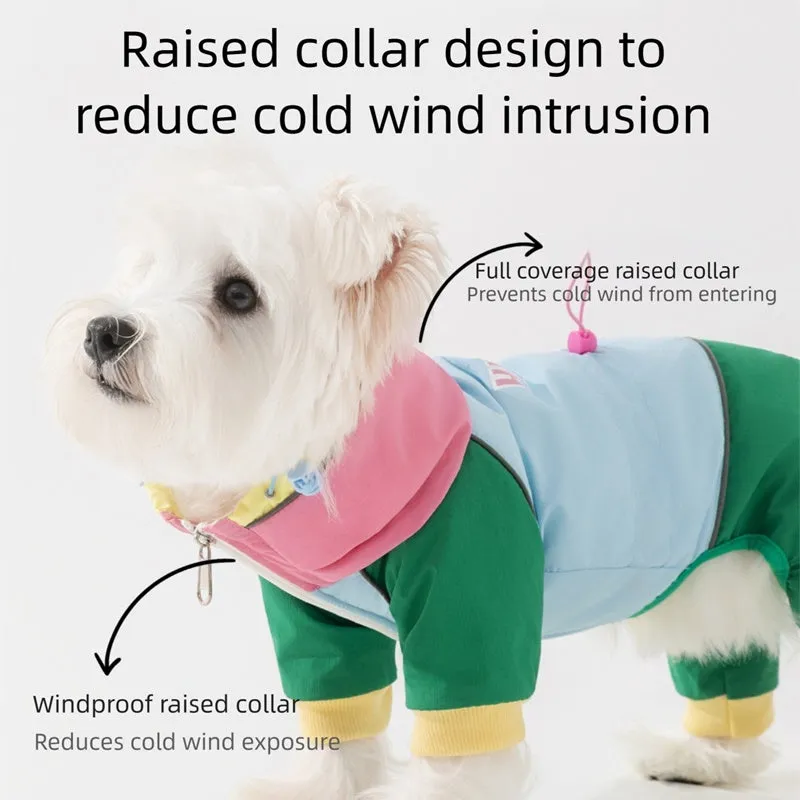 Waterproof 4-leg dog jumpsuit with hood in blue on a dog, reflective details visible