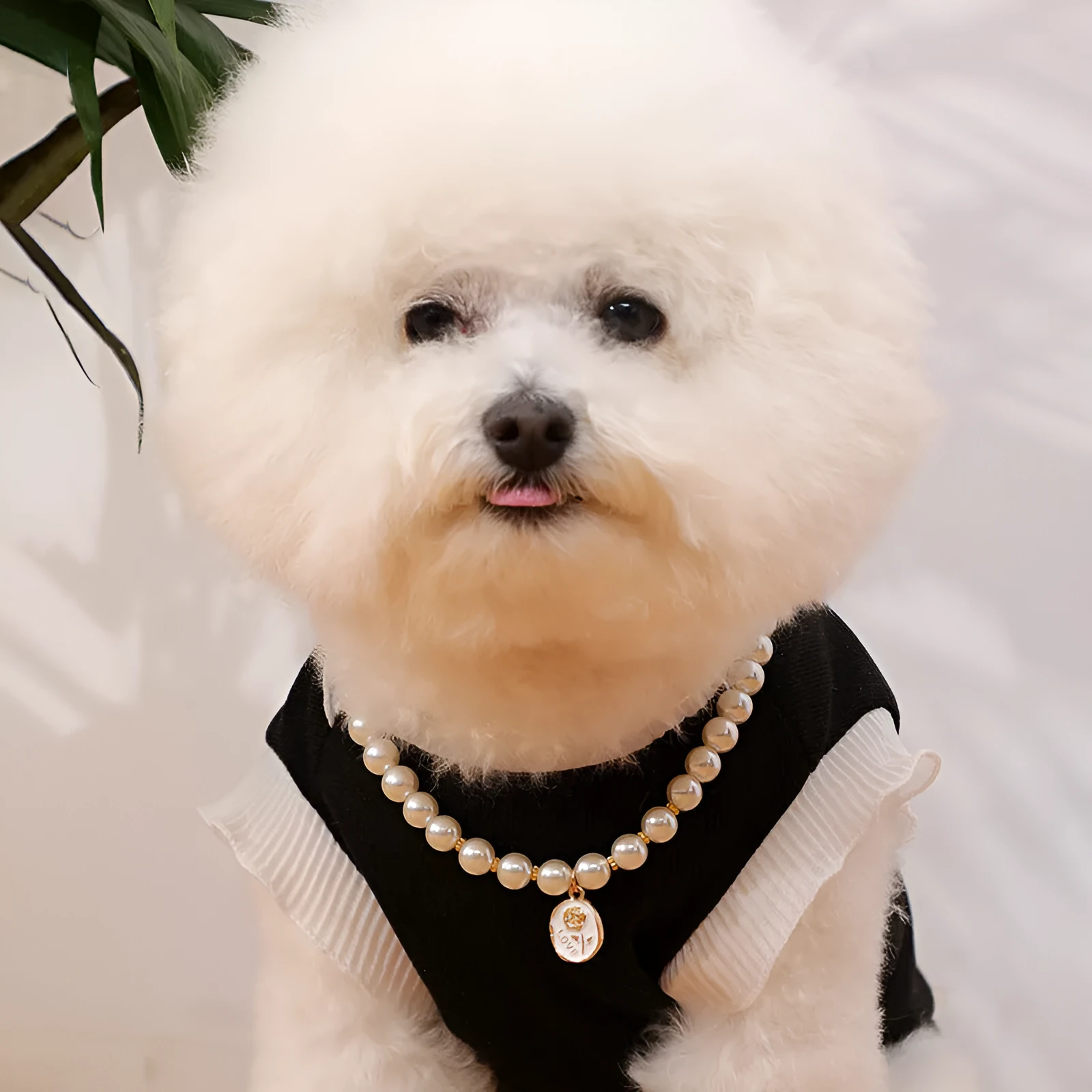 Retro plastic pearl necklace collar for pets with flower design, Black Rose colour, adjustable scarf