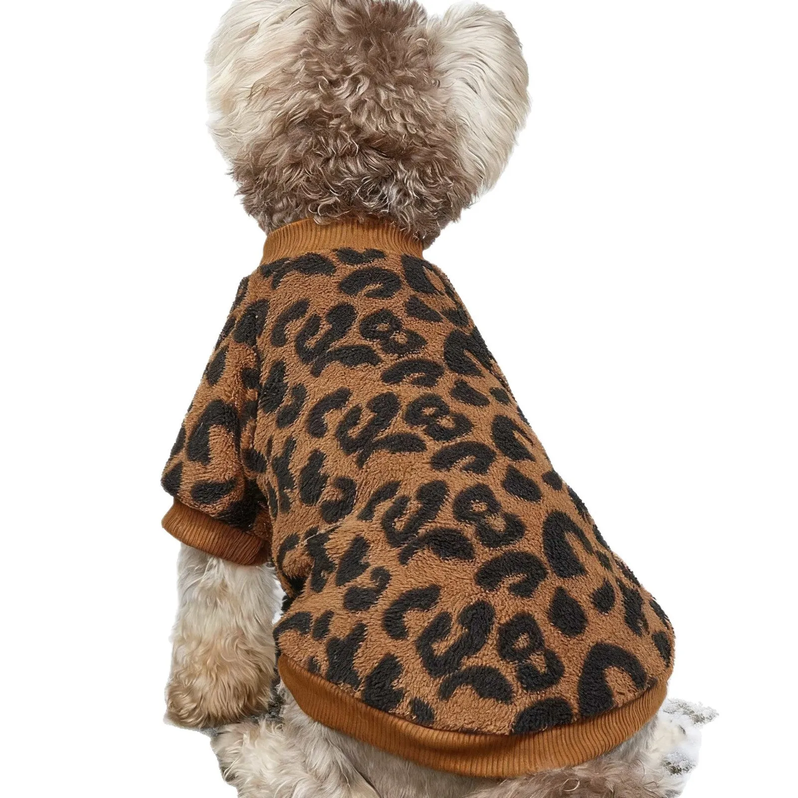 Leopard print wool dog sweater for small to large dogs sizes XS to XL
