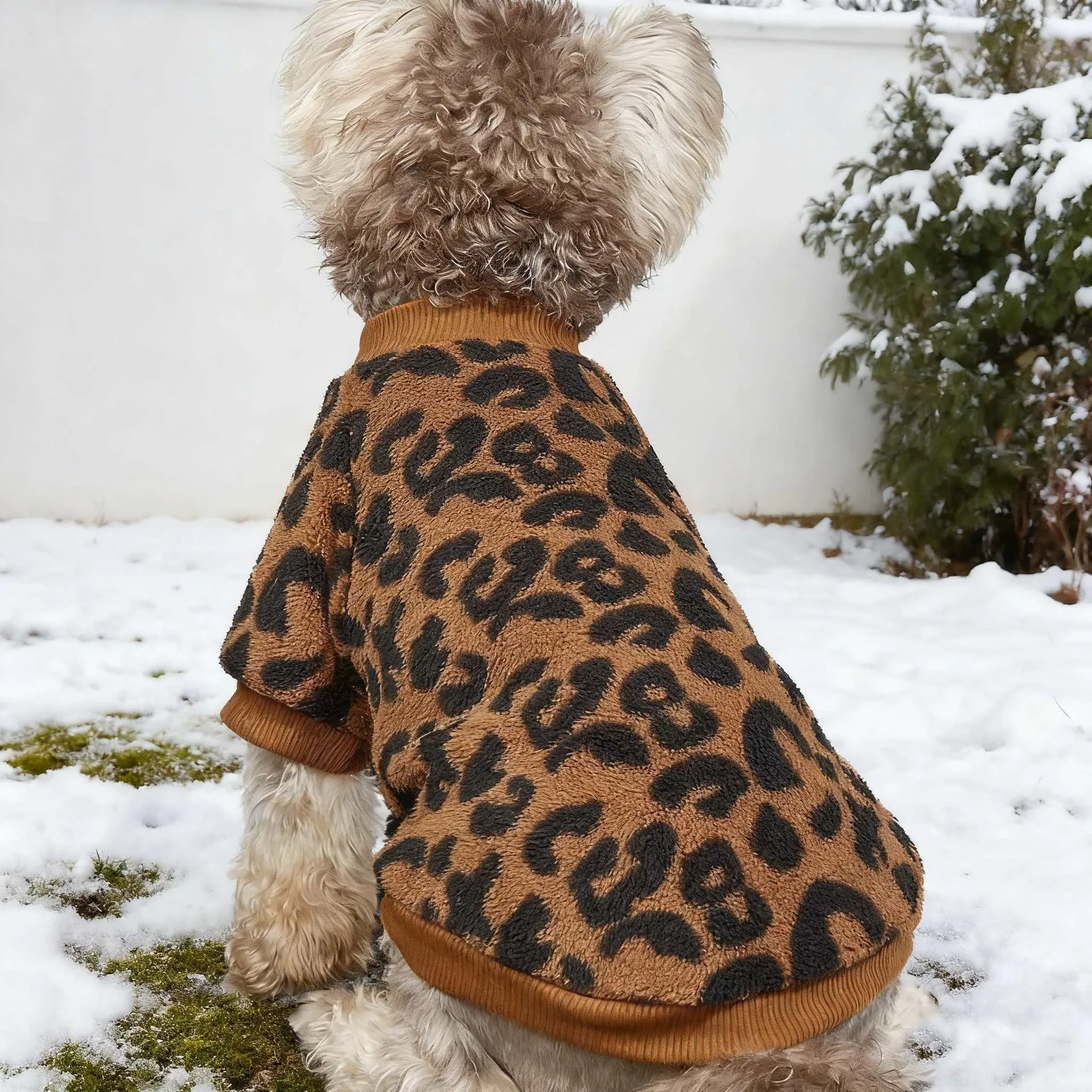 Leopard print wool dog sweater for small to large dogs sizes XS to XL