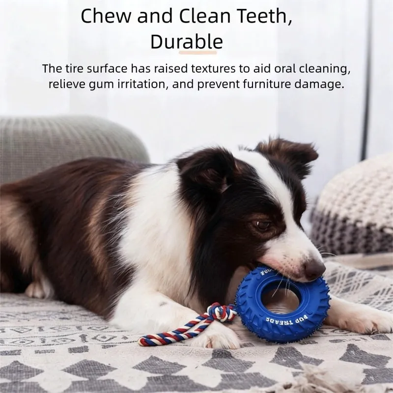 Dog chew toy with black rubber tyre and attached rope for interactive play