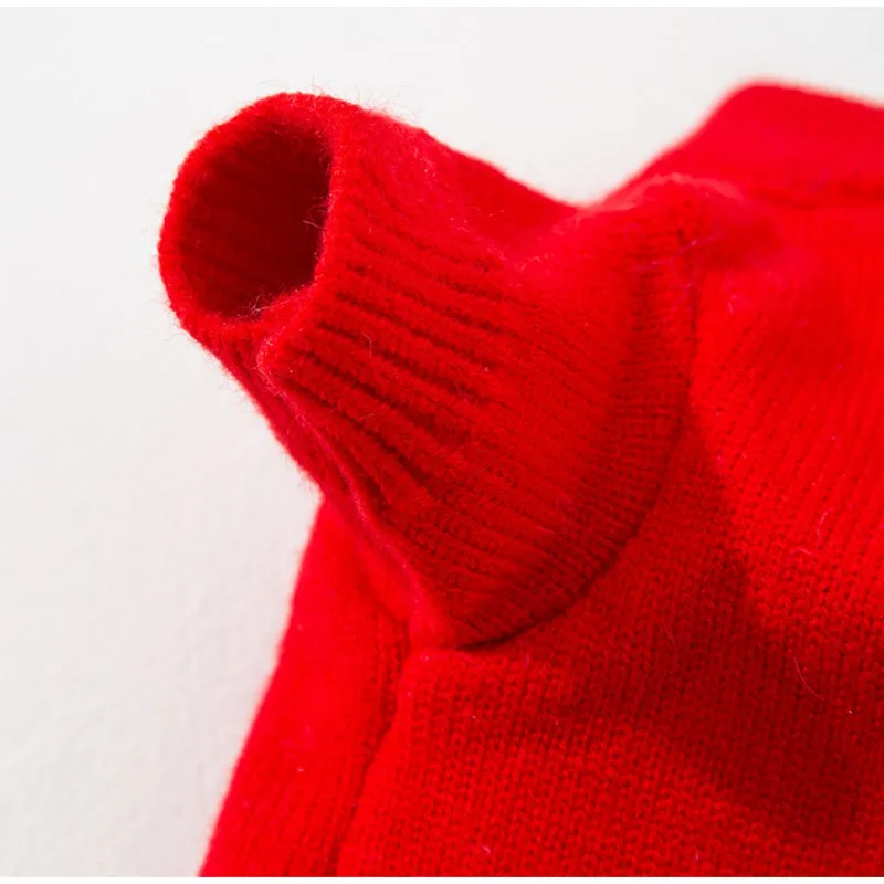 Red knitted lion dance pet sweater with 3D plush face details and colourful embroidery on a cat
