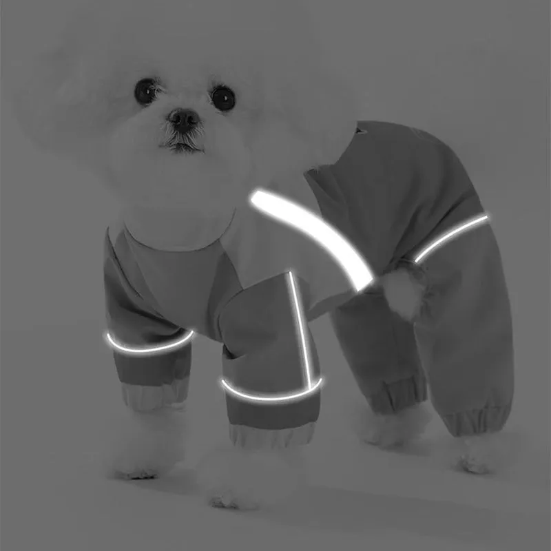 Reflective colour block dog jumpsuit in blue with waterproof fabric, four-leg coverage, and adjustable drawstrings on a small dog