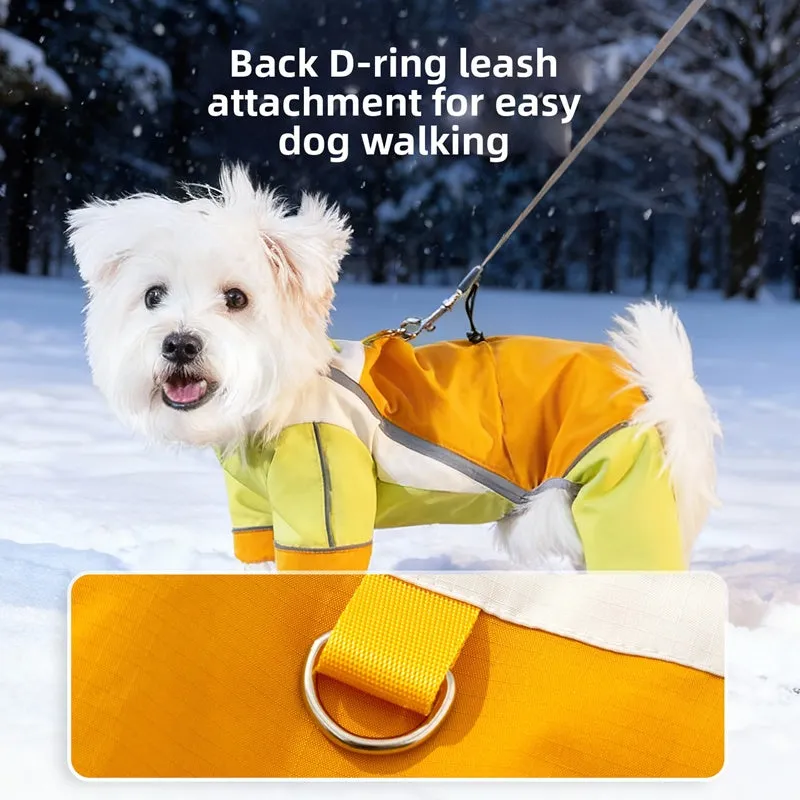 Reflective colour block dog jumpsuit in blue with waterproof fabric, four-leg coverage, and adjustable drawstrings on a small dog