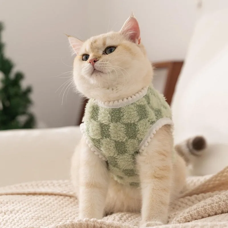 Autumn winter Korean dog hoodie in green with cute cartoon bear print for small medium pets