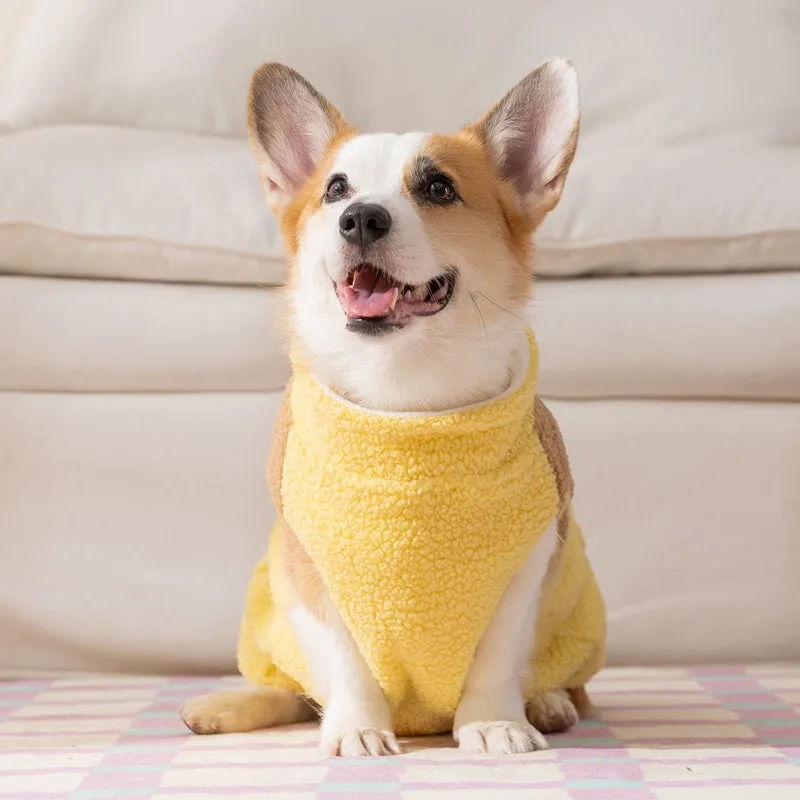 Small dog wearing a blue fleece jacket with bear embroidery and plaid pockets