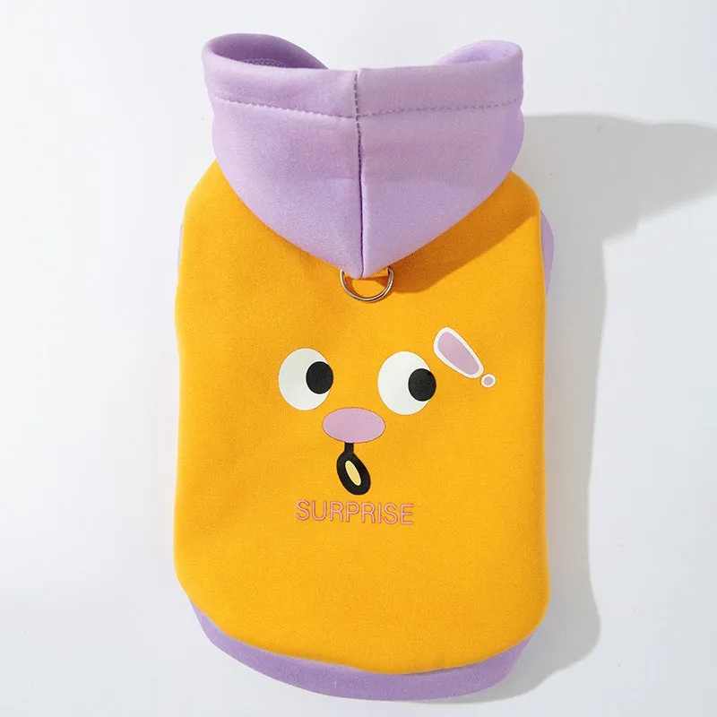 Cute cartoon bear dog hoodie in blue on small teddy bear pet for autumn winter