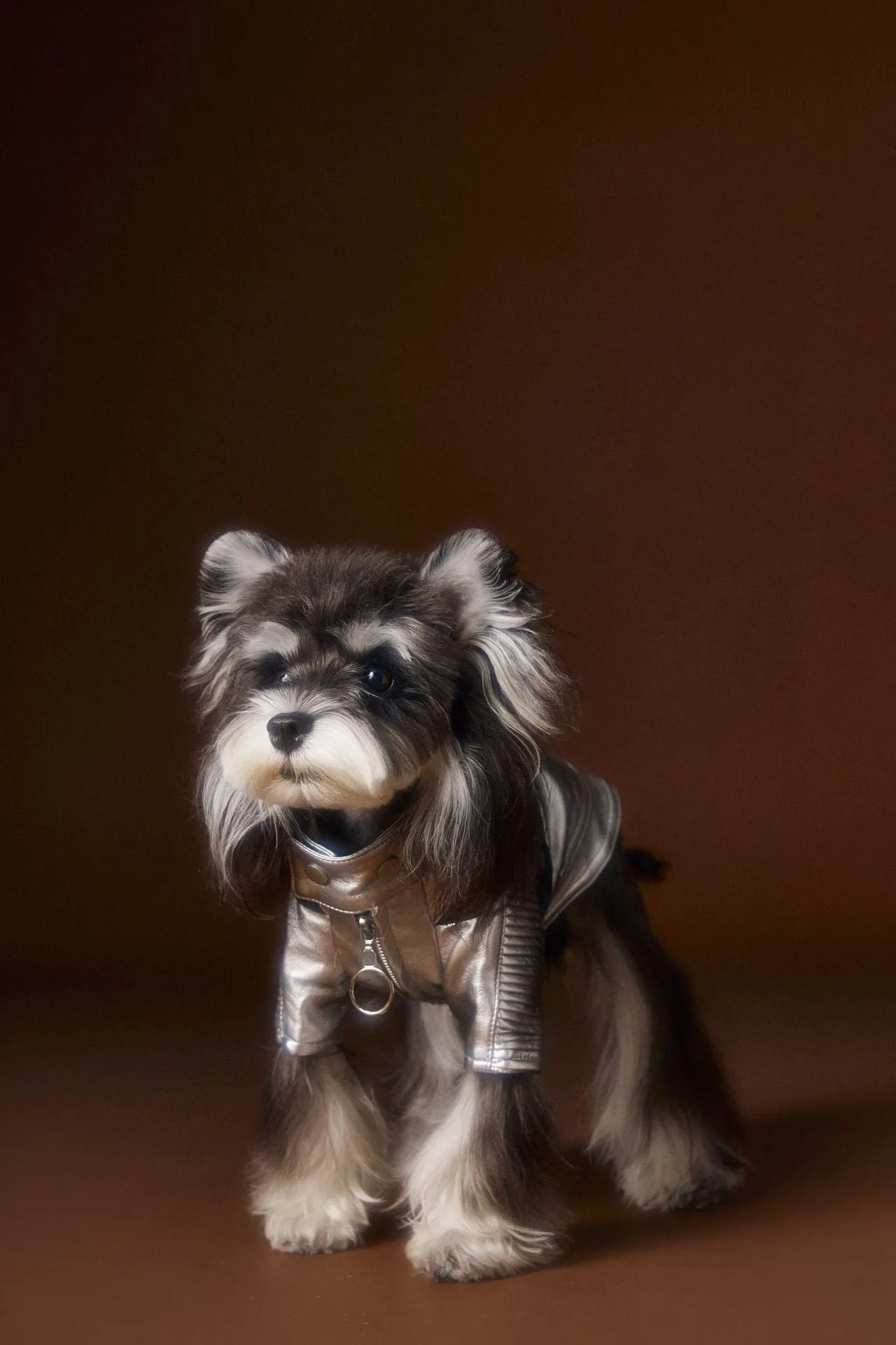 Distressed silver PU and viscose pet coat for small to medium dogs, available in sizes XS to XXL