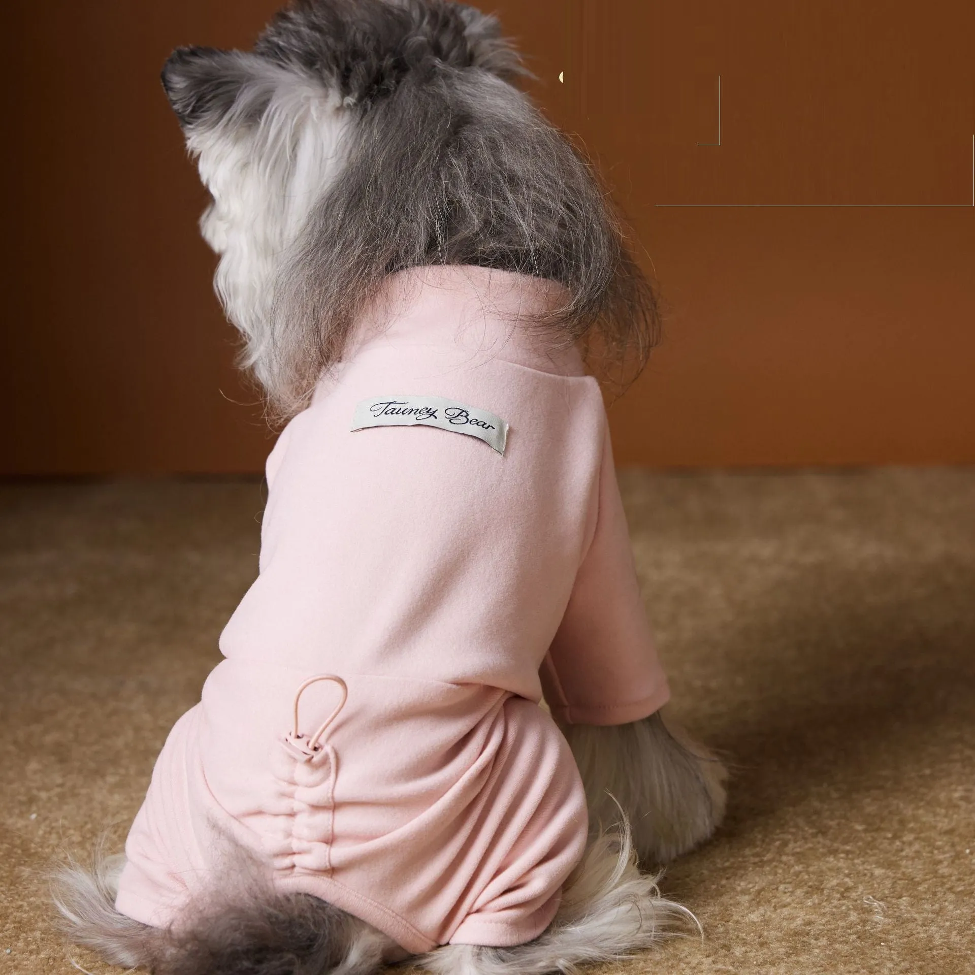 Blue polyester four-leg bottoming shirt for small dogs Schnauzer Bichon on a white background