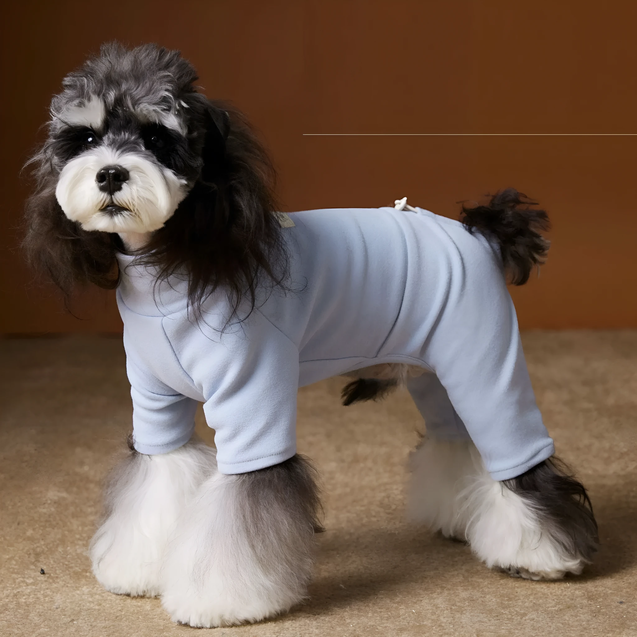 Blue polyester four-leg bottoming shirt for small dogs Schnauzer Bichon on a white background