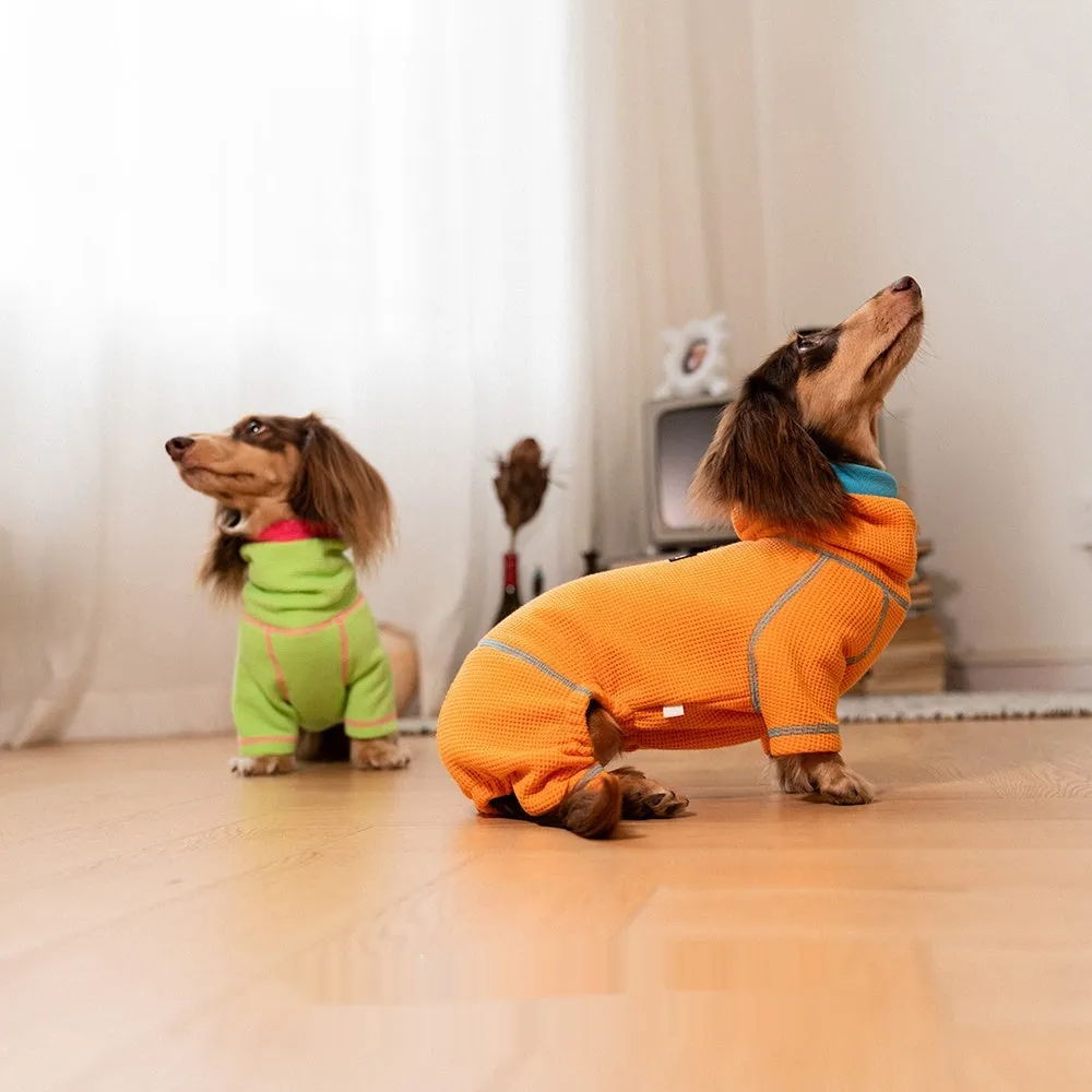 Waffle dachshund pullover in green, four-legged casual dog sweater on white background