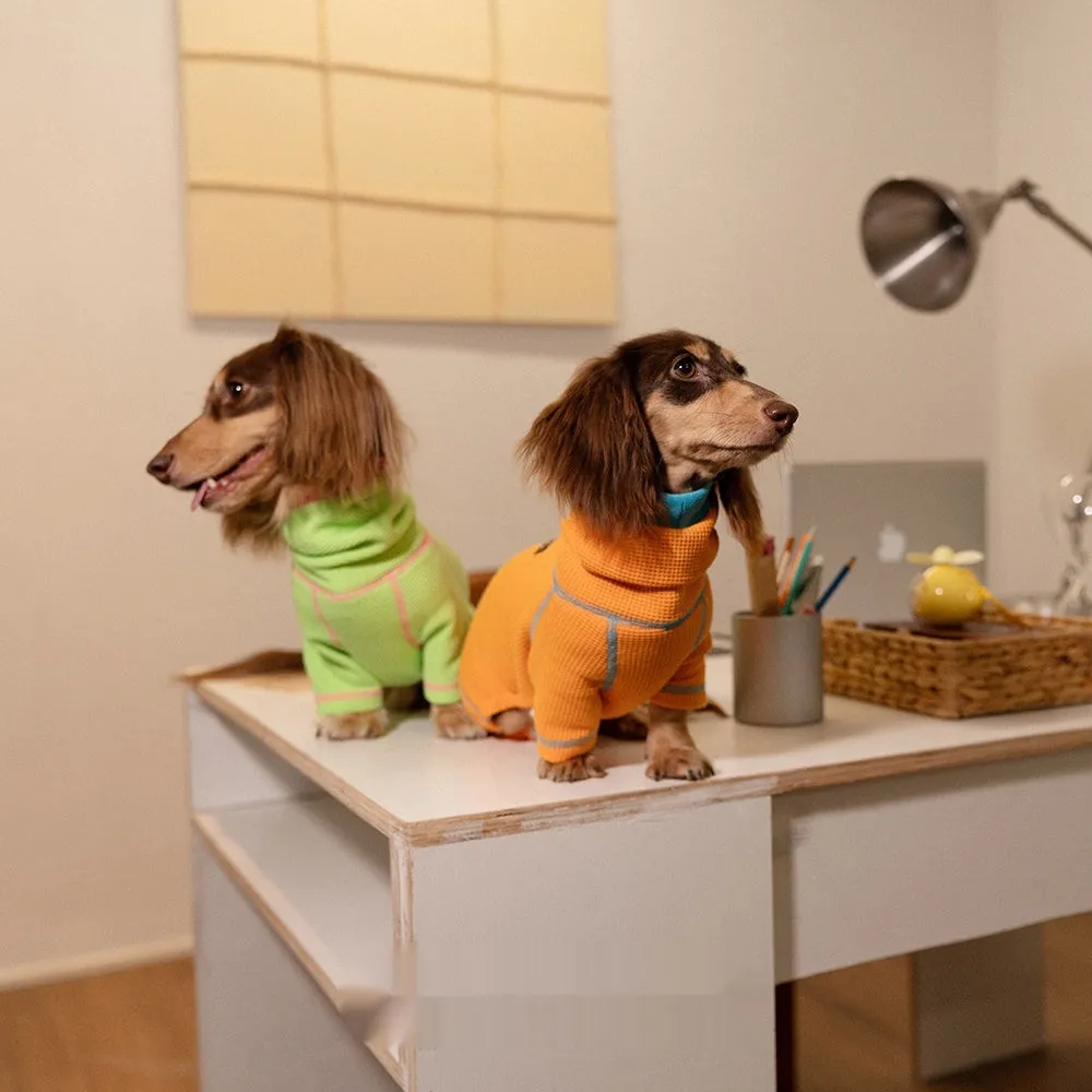 Waffle dachshund pullover in green, four-legged casual dog sweater on white background