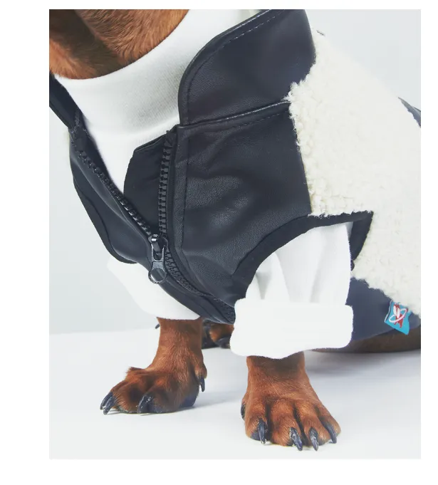 Dog or cat wearing a lambswool autumn winter coat with small leather pocket in black colour