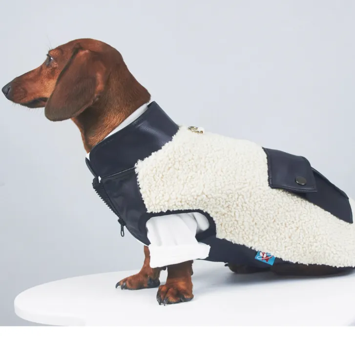 Dog or cat wearing a lambswool autumn winter coat with small leather pocket in black colour