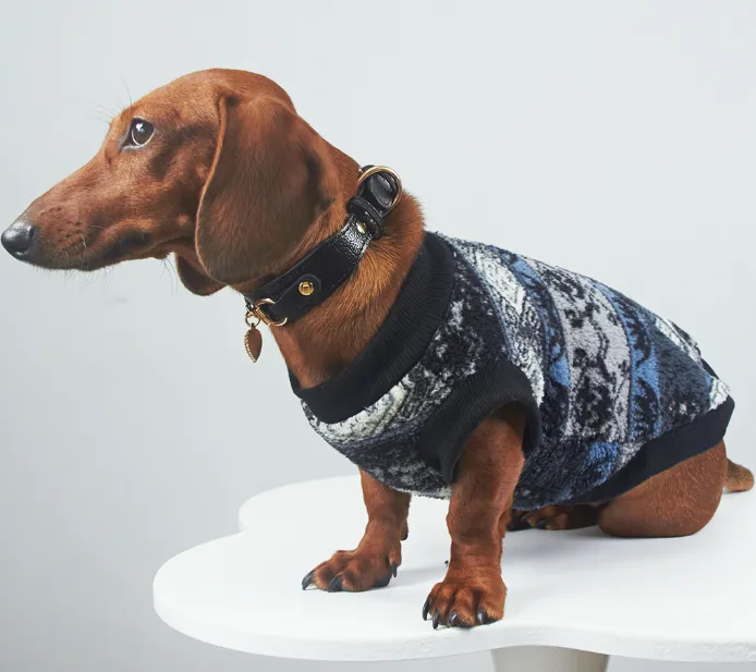Blue geometric pattern thick warm pet vest on small dog, autumn winter clothing